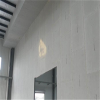 扶沟新型建筑材料掺多种工业废渣的ALC|ACC|FPS模块板材轻质隔墙板